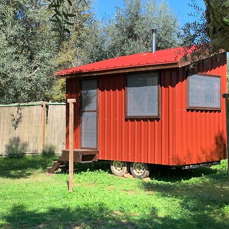 Figueirinha Ecoturismo Vendégház Monte da Estrada Kültér fotó