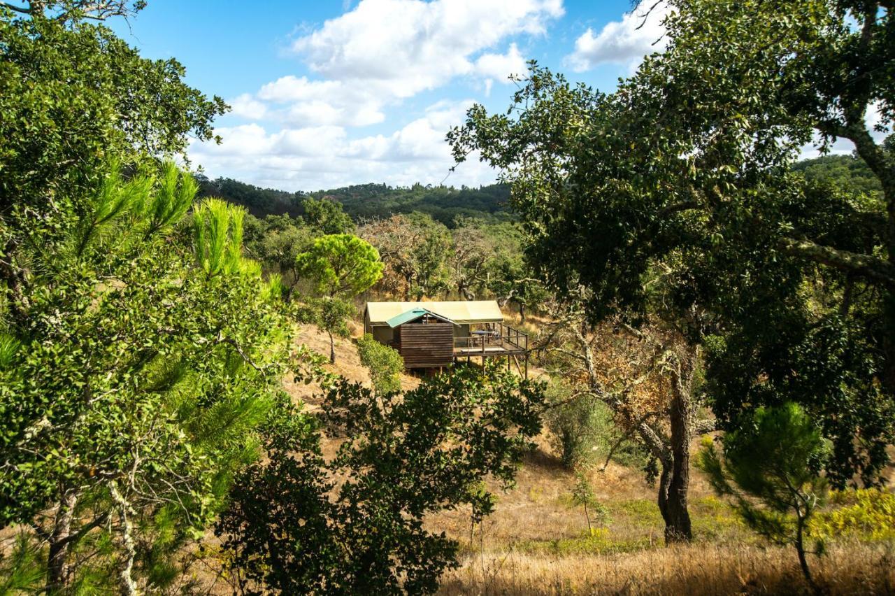 Figueirinha Ecoturismo Vendégház Monte da Estrada Kültér fotó