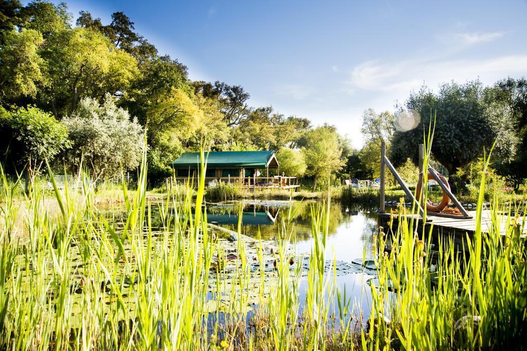 Figueirinha Ecoturismo Vendégház Monte da Estrada Kültér fotó